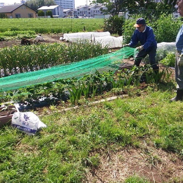 20220430_イチゴに網掛け(2).jpg