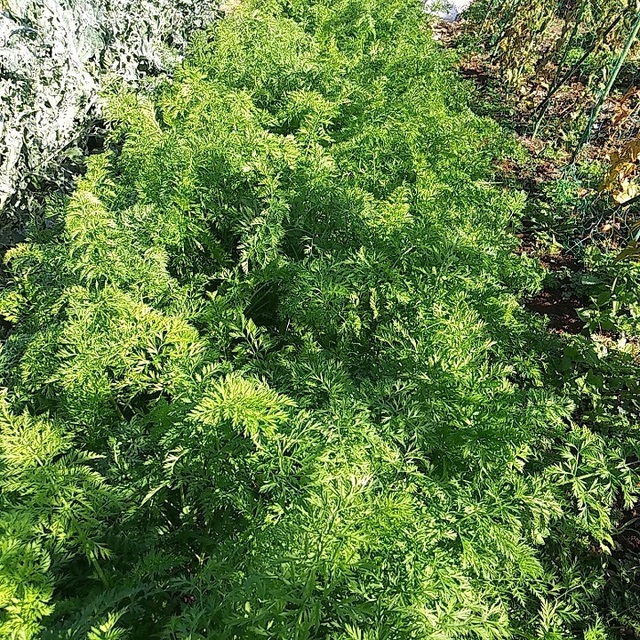 20221030_084127.jpg
