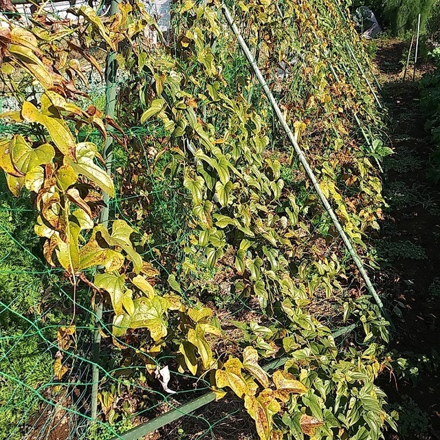 20221030_084345.jpg