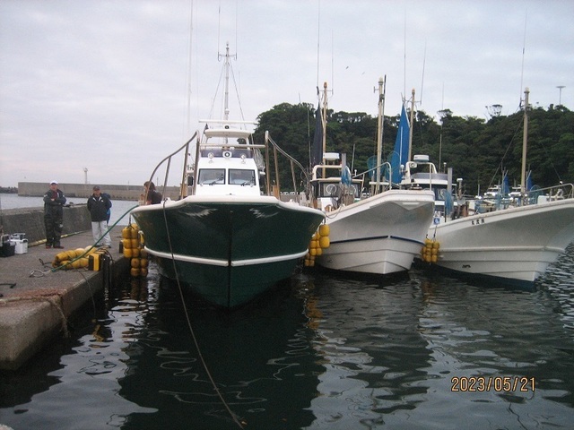 IMG_1251.JPG