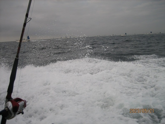 IMG_1259.JPG