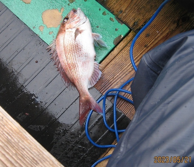 IMG_1260.JPG